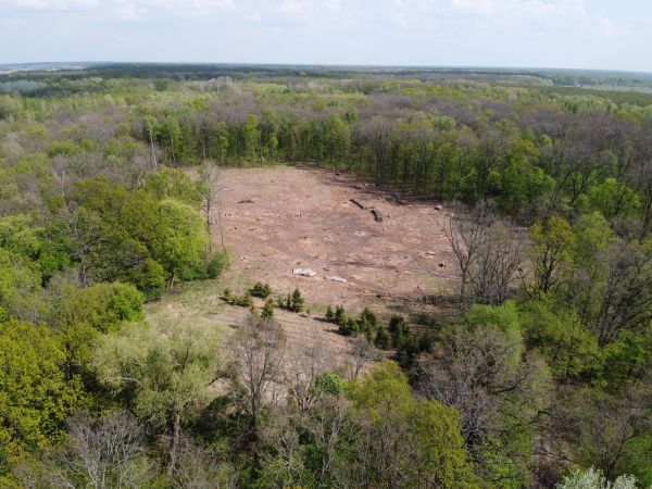 Henderson Land Clearing